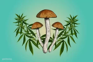 Combining the Therapeutic Powers of Cannabis and Psilocybin.jpg